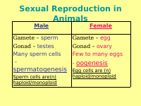 Sexual Reproduction in Animals.pdf